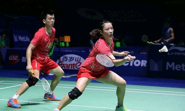 的IP运营 的IP运营